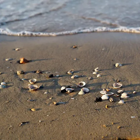 Cozy Flat With Amazing Seaview In דירה ביביונה