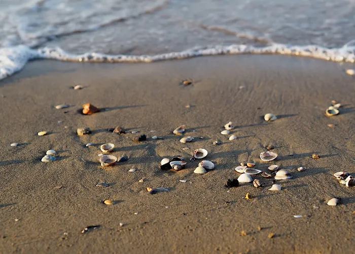 Cozy Flat With Amazing Seaview In *